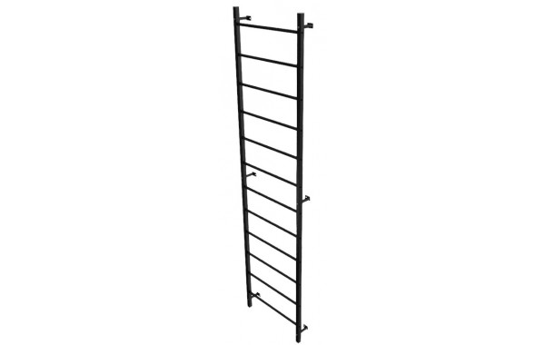 Стенка гимнастическая шведская 320х80см (металл) ФСИ 7402 600_380