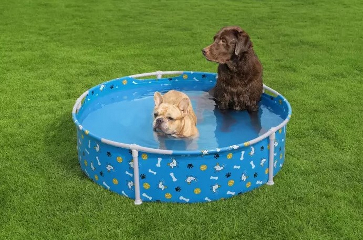 Каркасный бассейн для животных 122х30,5см Bestway Fetchin' Fun Pet Play Pool 561KM 1207_800