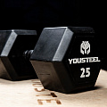 Гантель обрезиненная YouSteel HEX DB 12,5 кг 120_120