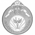 Медаль MZ 06-50/S (D-50мм, D-25мм, s-2мм) 120_120