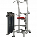 Подтягивание/Отжимание Impulse IT9520 120_120